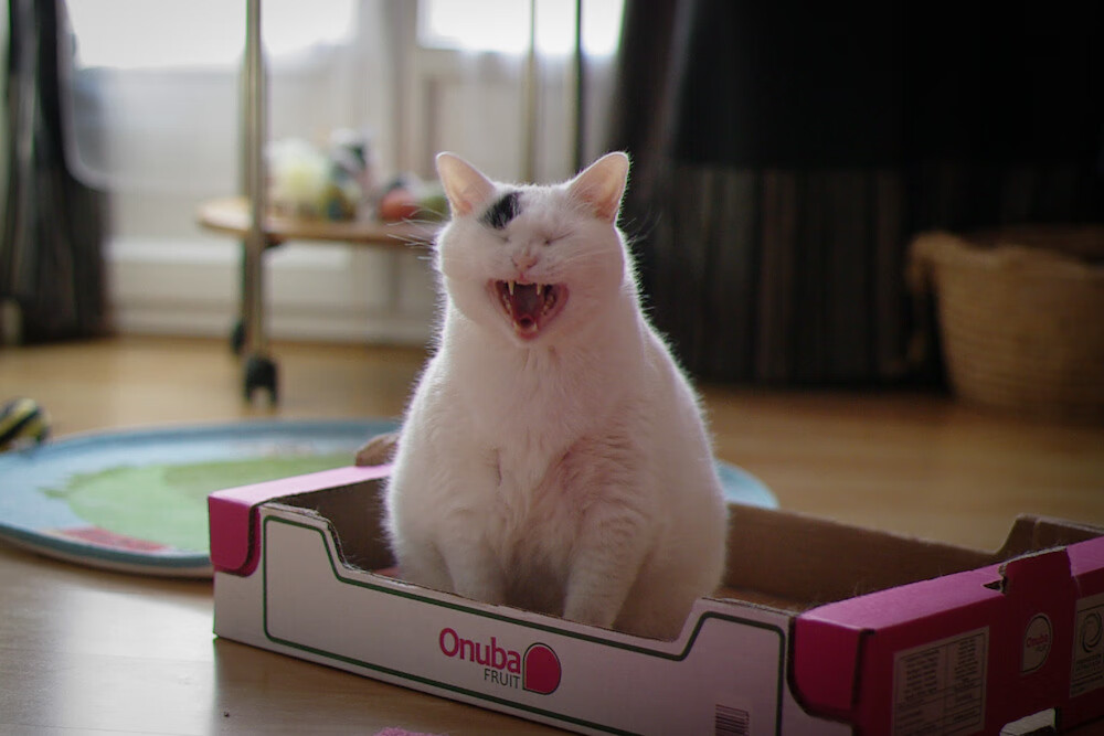 开云体育app-我理解您想要一篇围绕奇才防守锁死雷霆这一核心事件的、具有独特视角和深度的文章。这确实是一场值得大书特书的战术盛宴