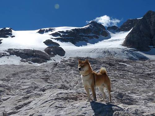 寂静之处，亦有惊雷