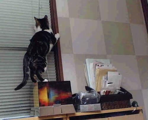 跨越时空的较量,当北京队遭遇凯尔特人,字母哥防守端锁死波士顿