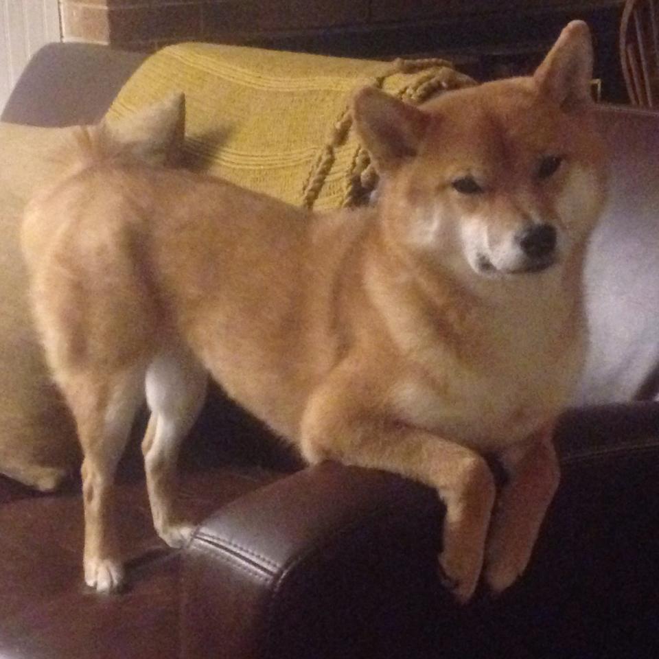 链式文艺复兴，当德国的高位粉碎遭遇意大利的慢板接管