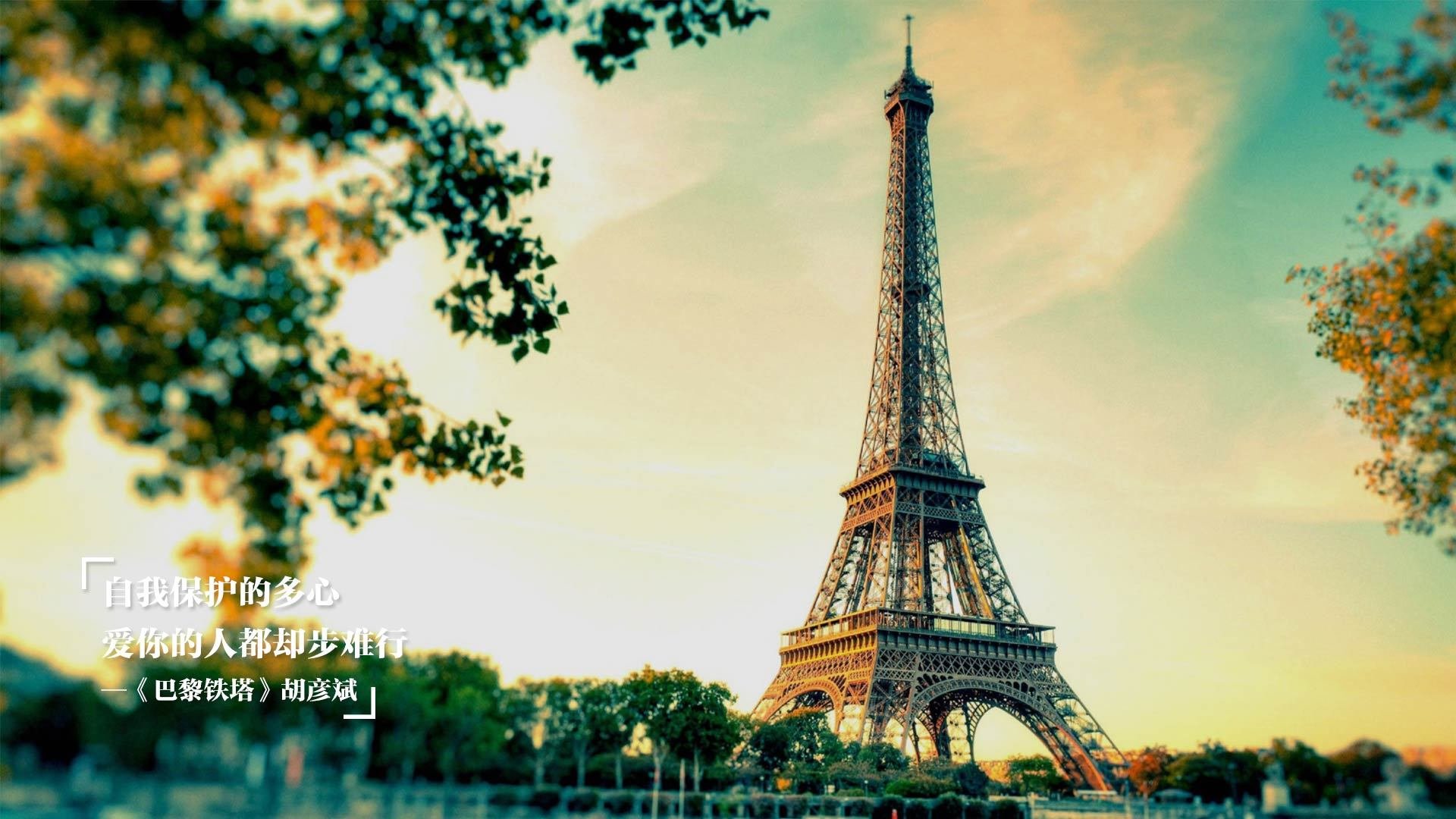 独行侠的星辰，勇士的风暴，当东契奇点亮全场，勇士以团队之名碾压公牛