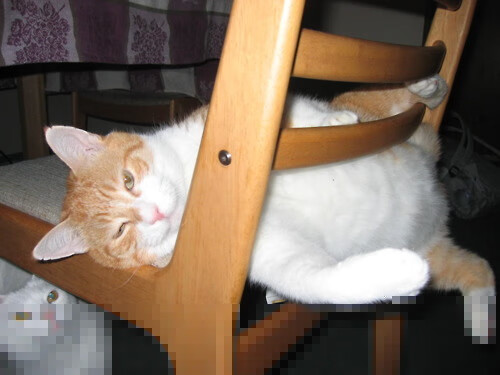 降维打击,当美国代码冲垮斯坦福桥,格纳布里是旧大陆最后的防火墙