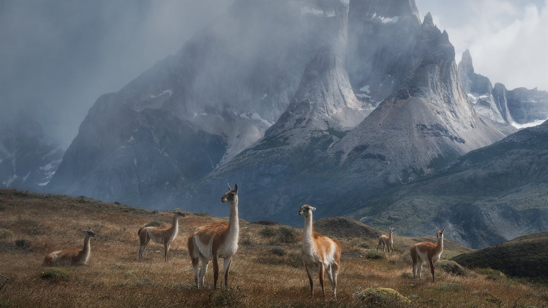 开云官网-约基奇隐身之战，快船爆冷独行侠背后的关键先生悖论