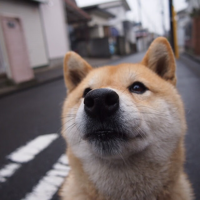 巴斯托尼的决胜防线，几内亚如何创造史上最冷门胜利，让西班牙止步世界杯预选赛