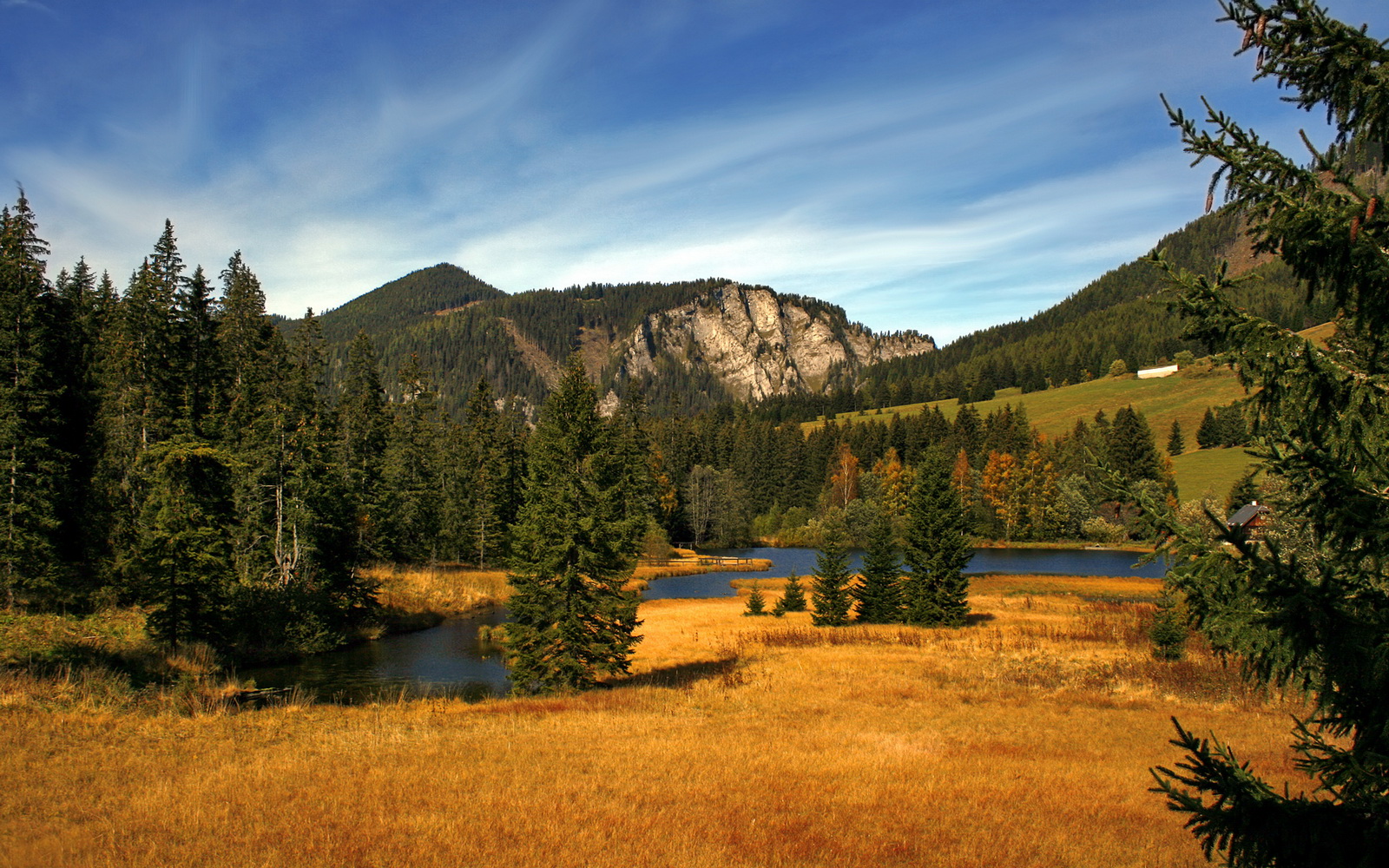 铁腰的冠军级演出与太极虎的闪电收割