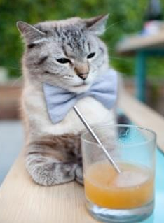 神奇小子孔德戴帽，加纳黑色旋风完爆勒沃库森！