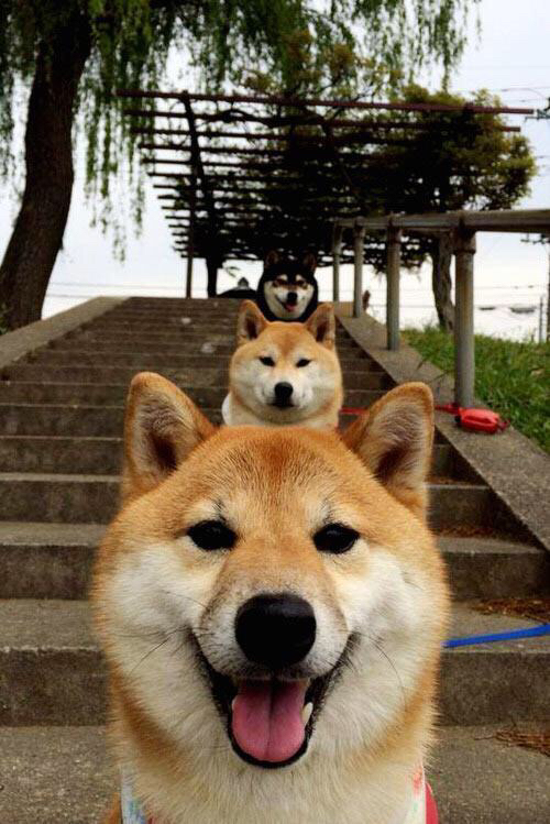 不是前锋，胜似前锋—富安健洋的封神之夜，如何以最不可能的方式终结英超悬念