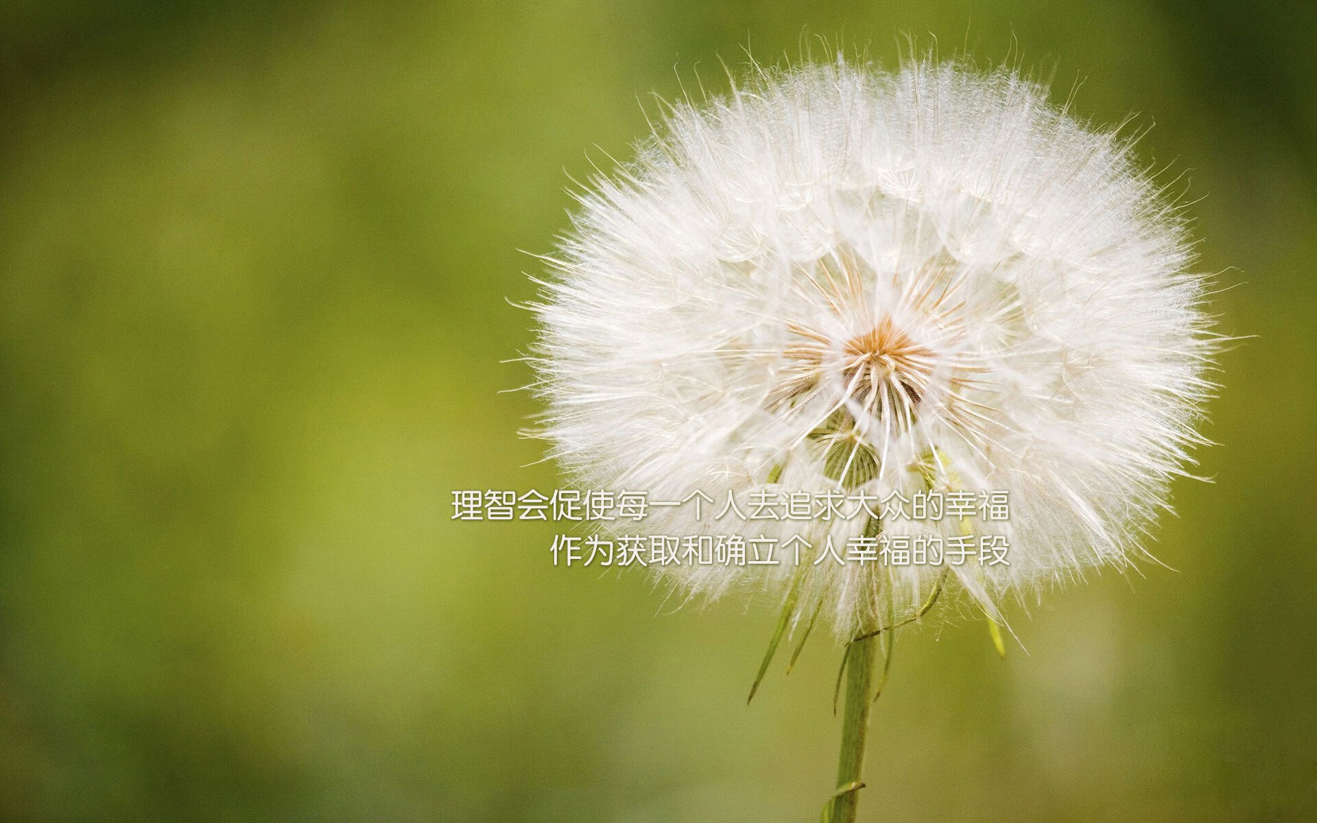 当沙漠吞噬山与海,2026世界杯C组,苏亚雷斯一剑封喉,沙特逆转罗马尼亚之战