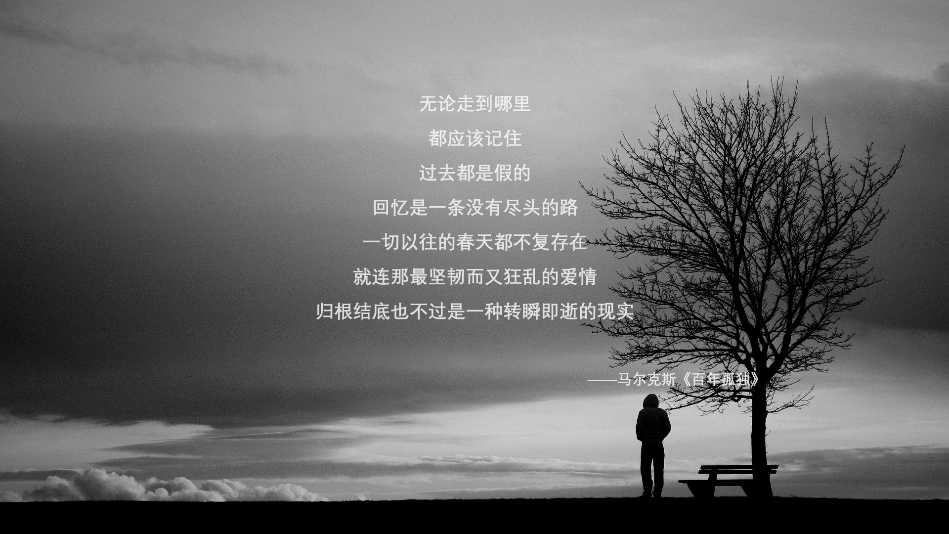 唯一之巅，当范戴克铸就钢铁长城，澳大利亚在世界杯争冠战中横扫阿根廷