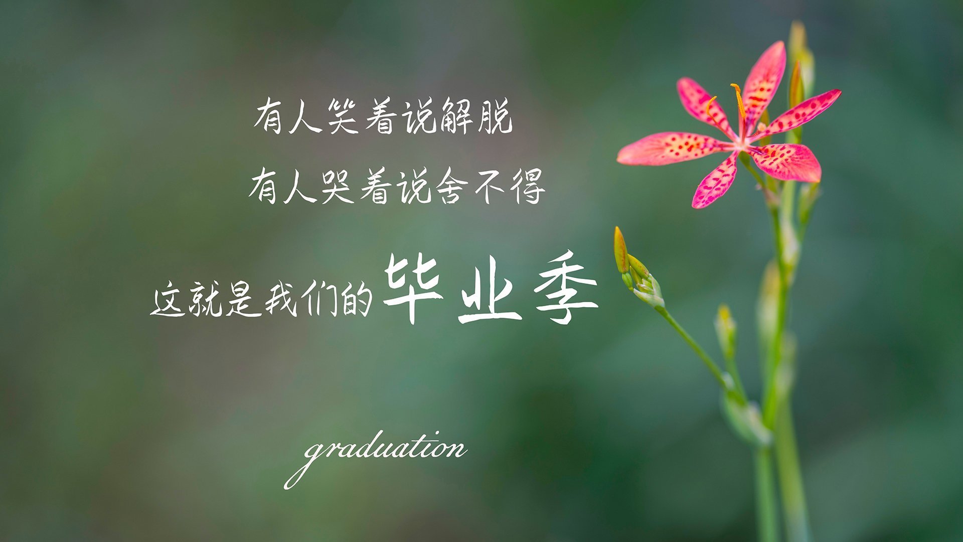 开云体育-2026世界杯H组，韩国风暴横扫匈牙利，哈基米致命一击书写传奇绝唱