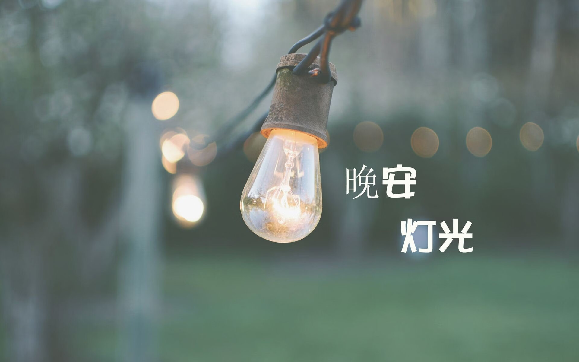 开云体育app-沙漠与白鹰的碰撞，2026世界杯，苏亚雷斯用最后一舞定义唯一