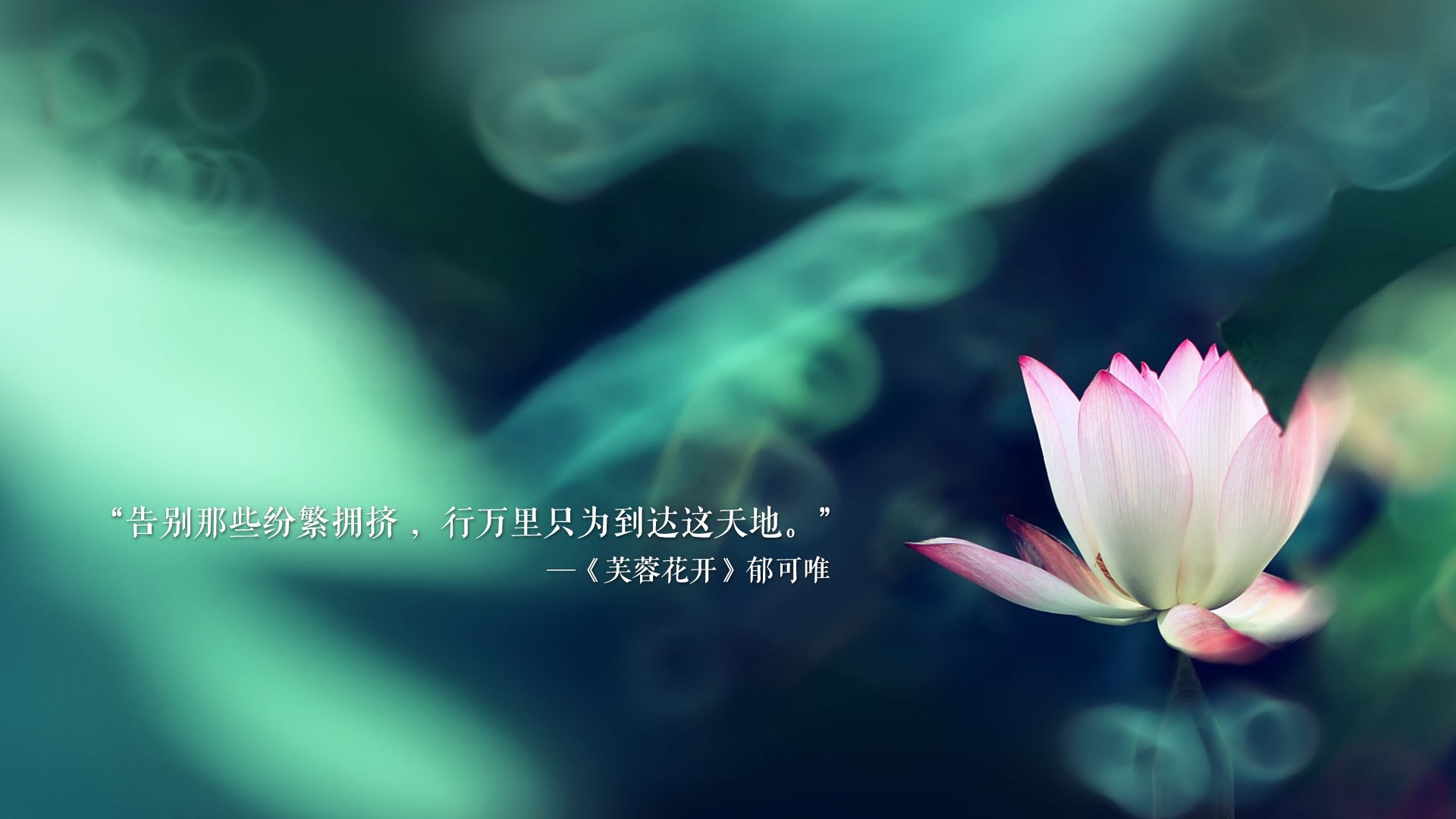 逆转之刃，当控球神话在曼谷的雨夜崩塌，孙兴慜的致命一击为瑞典加冕